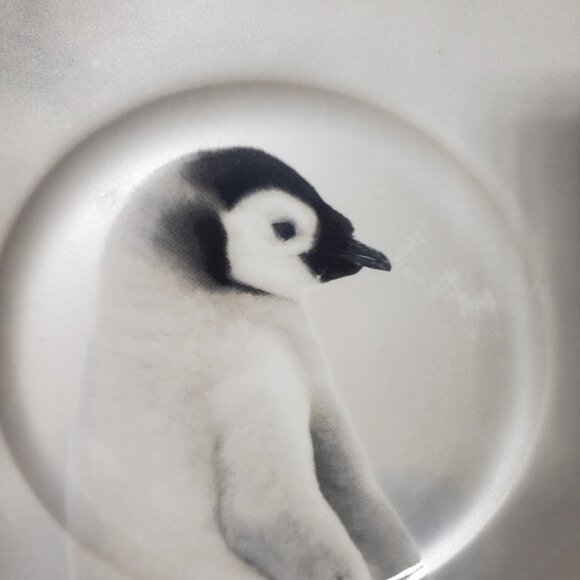Antarctic Penguin Dinner Plate by Robert Stanley Home Collection 22F5 Collection - Picture 1 of 3